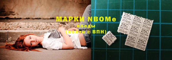 индика Армянск