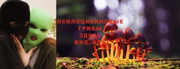 молекула духа Арсеньев