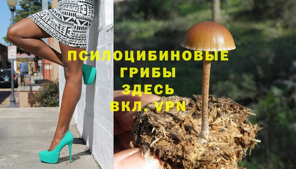 MDMA Premium VHQ Аркадак