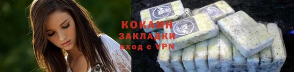 индика Армянск