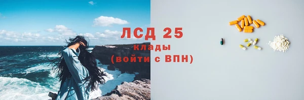 индика Армянск
