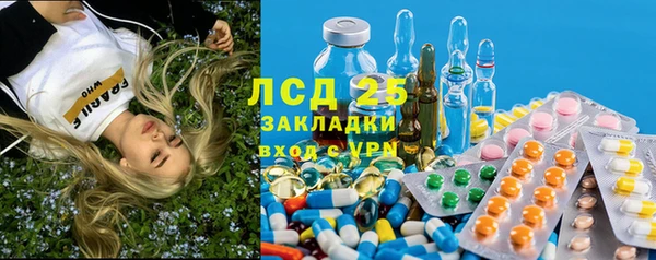 индика Армянск