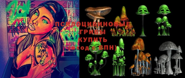 молекула духа Арсеньев