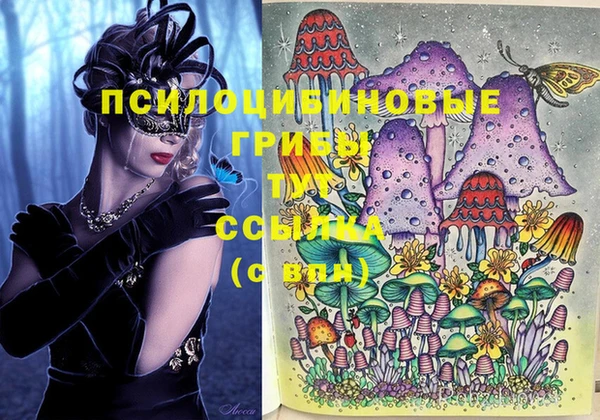 MDMA Premium VHQ Аркадак