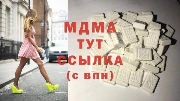 молекула духа Арсеньев