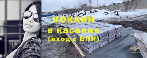 индика Армянск